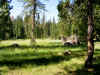 Day2Meadow.JPG (752525 bytes)