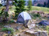 Day2Site1.JPG (788297 bytes)