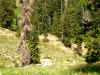Day2SiteFromAfar.JPG (761533 bytes)