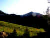 Day2Site.JPG (288005 bytes)