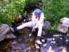 PumpingWater.JPG (565773 bytes)