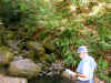 Hedge Creek Falls (634242 bytes)
