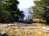 Mountain Goats (538742 bytes)