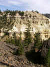 Grand Canyon of the Yellowstone (565982 bytes)